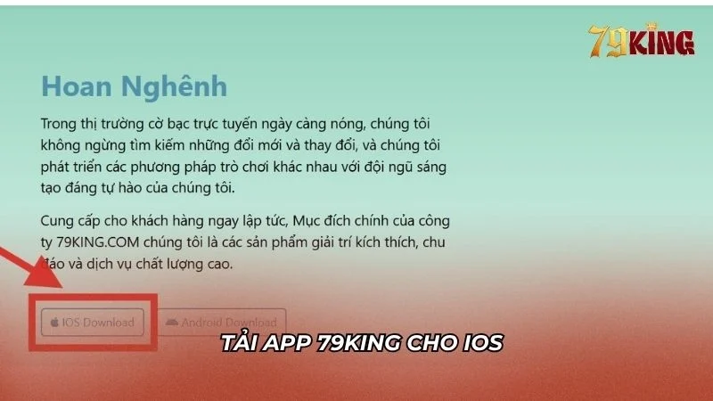 Hướng dẫn tải app 79KING cho người chơi dùng iOS