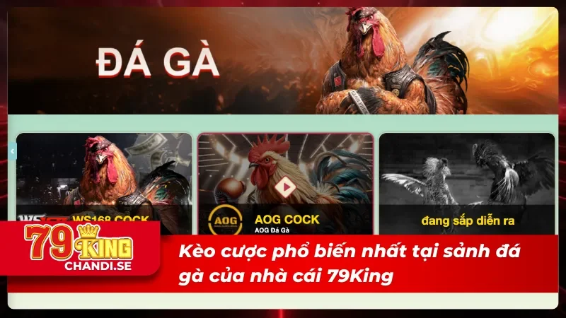 Kèo cược phổ biến nhất tại sảnh đá gà 79King