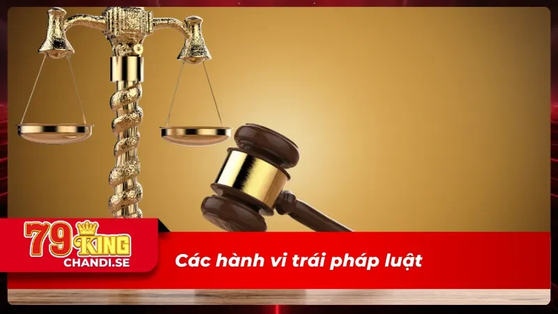 Các hành vi trái pháp luật mà 79King miễn trừ trách nhiệm