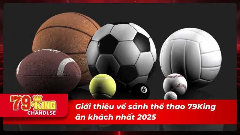 Giới thiệu về thể thao 79King ăn khách nhất 2026