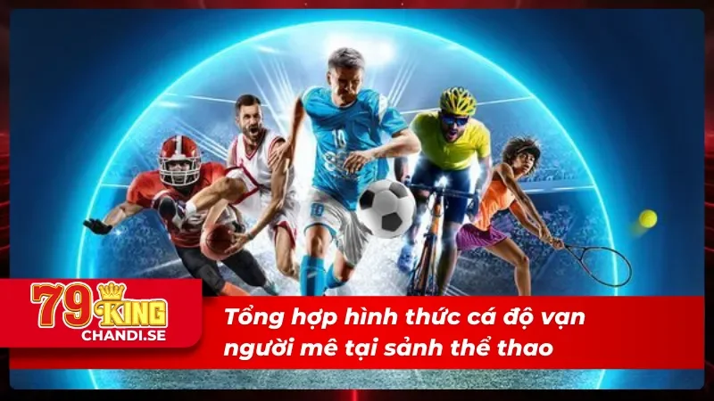 Tổng hợp hình thức cá độ siêu đỉnh tại thể thao 79King